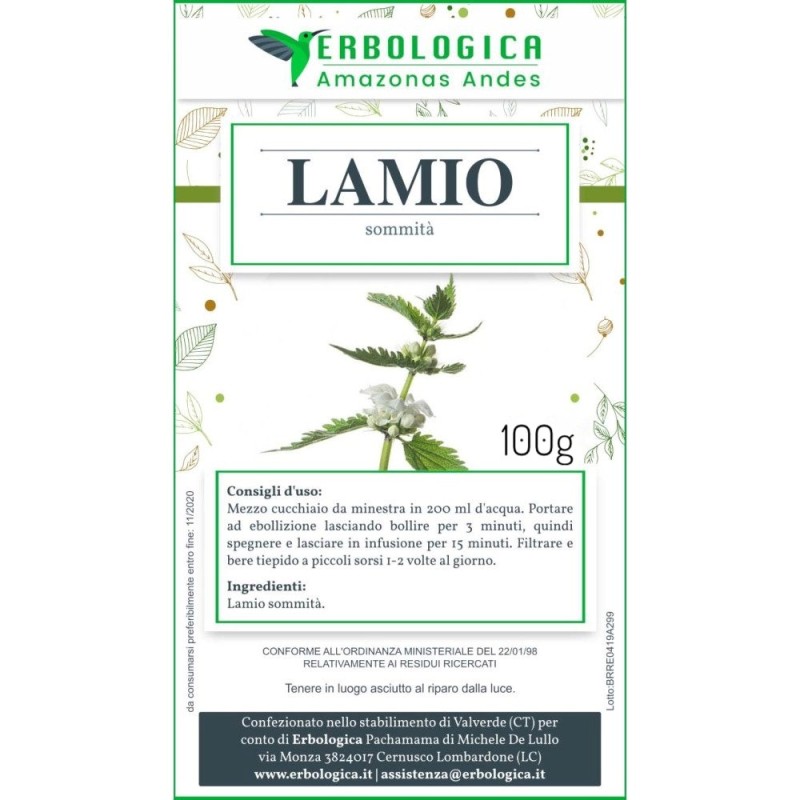 Lamio bianco tisana Lamio bianco tisana