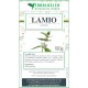 Lamio bianco tisana Lamio bianco tisana