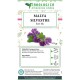 Malva fiori blu Malva fiori blu
