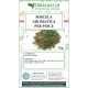 Miscela di erbe aromatiche per il pesce 