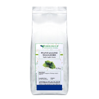 Piantaggine Maggiore foglie taglio tisana Piantaggine Maggiore foglie taglio tisana