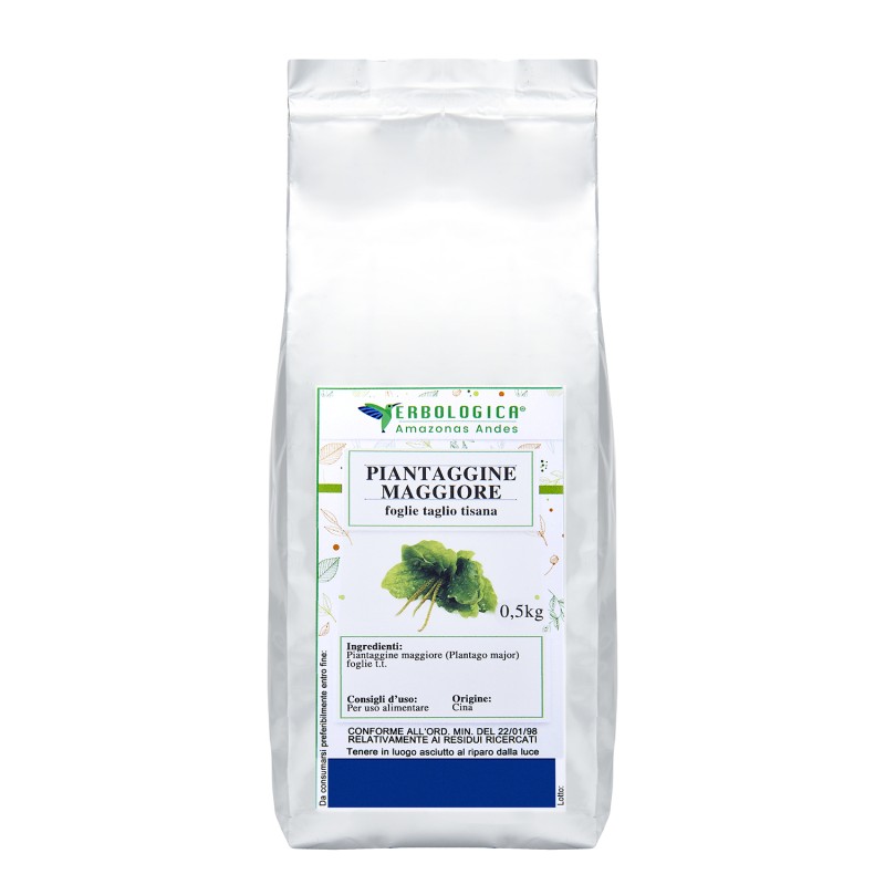 Piantaggine Maggiore foglie taglio tisana Piantaggine Maggiore foglie taglio tisana