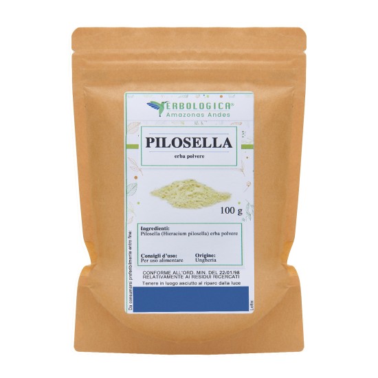 Pilosella pianta polvere Pilosella pianta polvere
