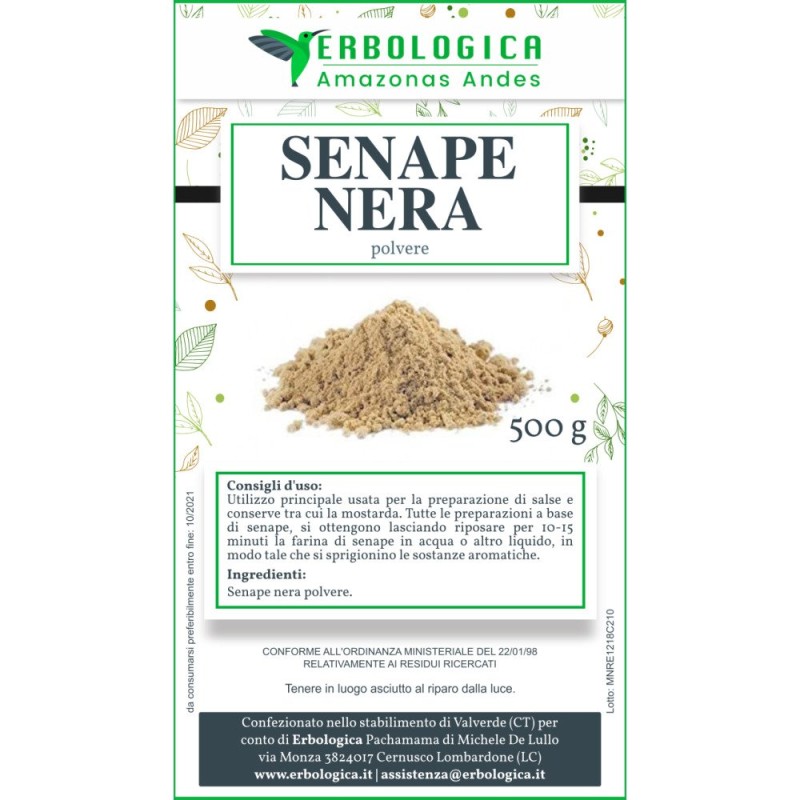 Senape nera polvere spezia Senape nera polvere spezia
