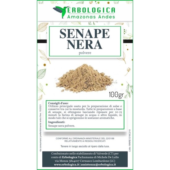 Senape nera polvere spezia Senape nera polvere spezia