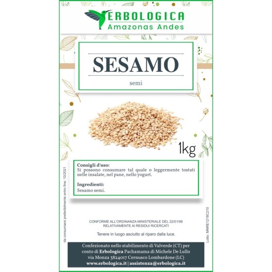 Semi di sesamo spezia Semi di sesamo spezia