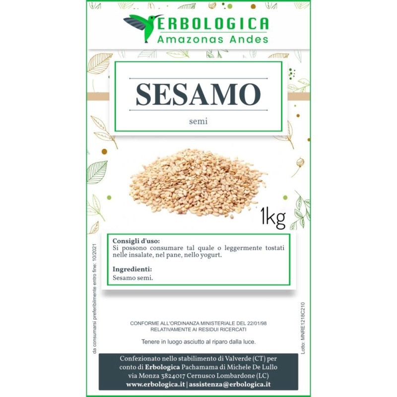 Semi di sesamo spezia Semi di sesamo spezia