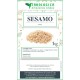 Semi di sesamo spezia Semi di sesamo spezia