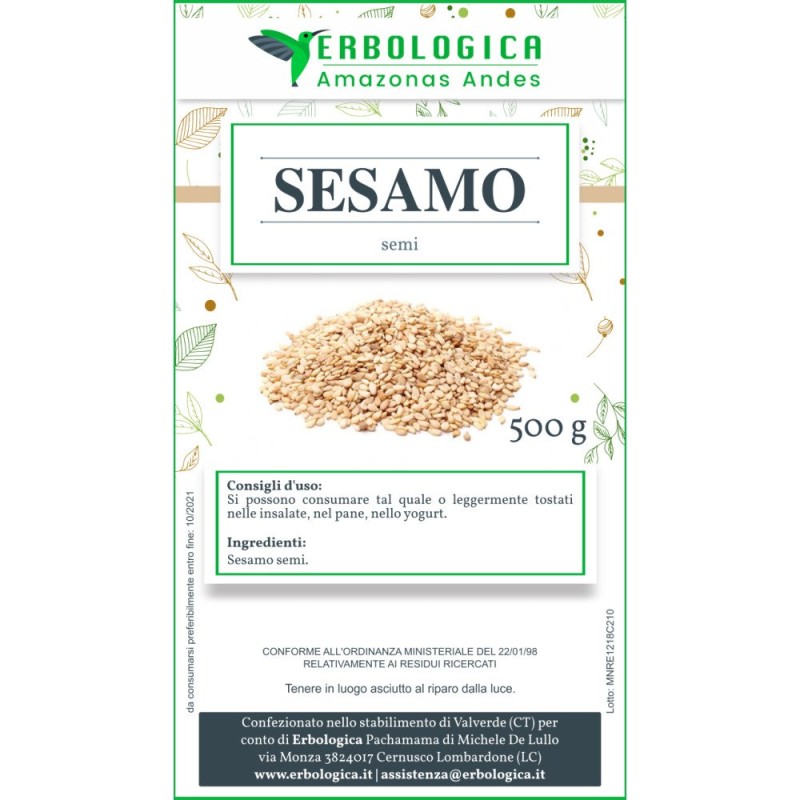 Semi di sesamo spezia Semi di sesamo spezia