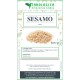 Semi di sesamo spezia Semi di sesamo spezia