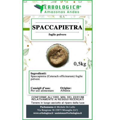 Spaccapietra pianta in polvere