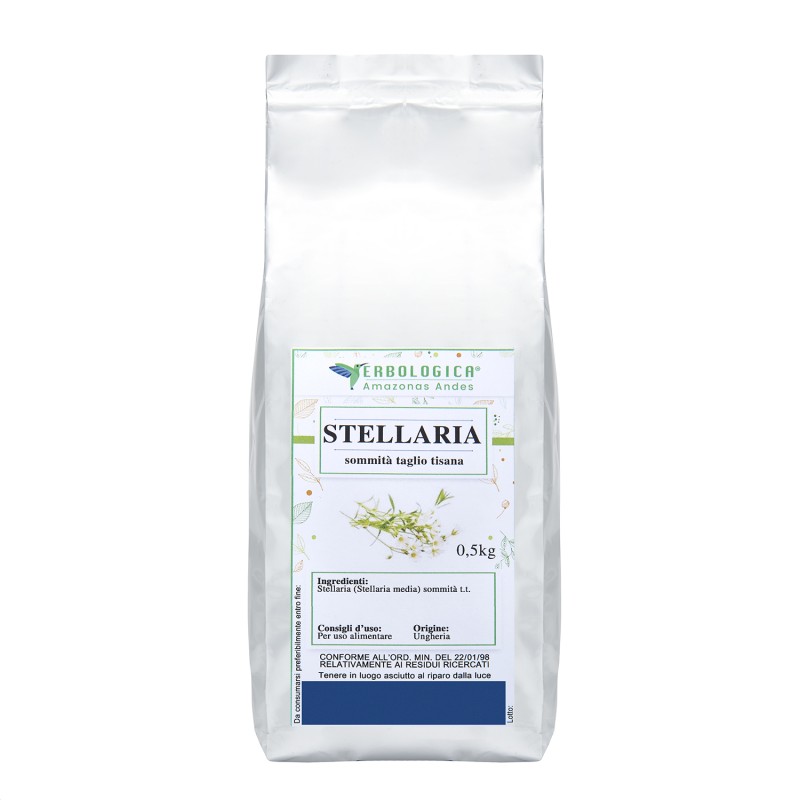 Stellaria sommità taglio tisana Stellaria sommità taglio tisana
