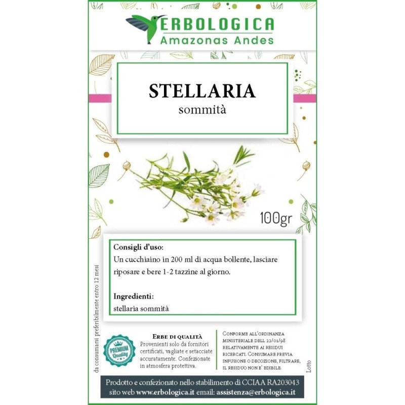 Stellaria sommità taglio tisana Stellaria sommità taglio tisana
