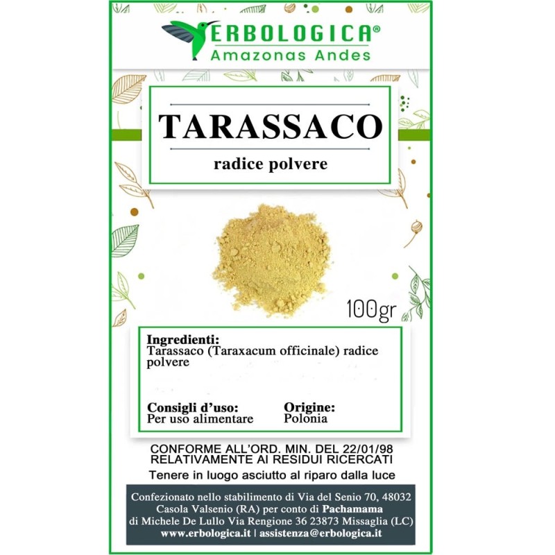 Tarassaco radice in polvere