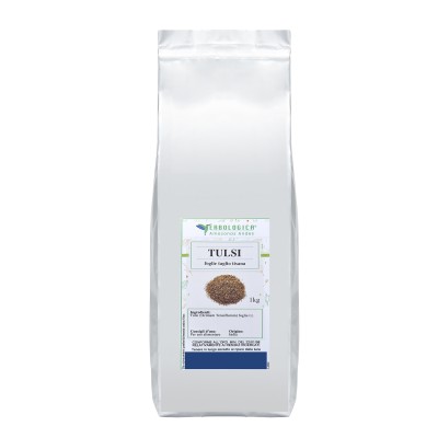 Tulsi foglie basilico santo taglio tisana Tulsi foglie basilico santo taglio tisana