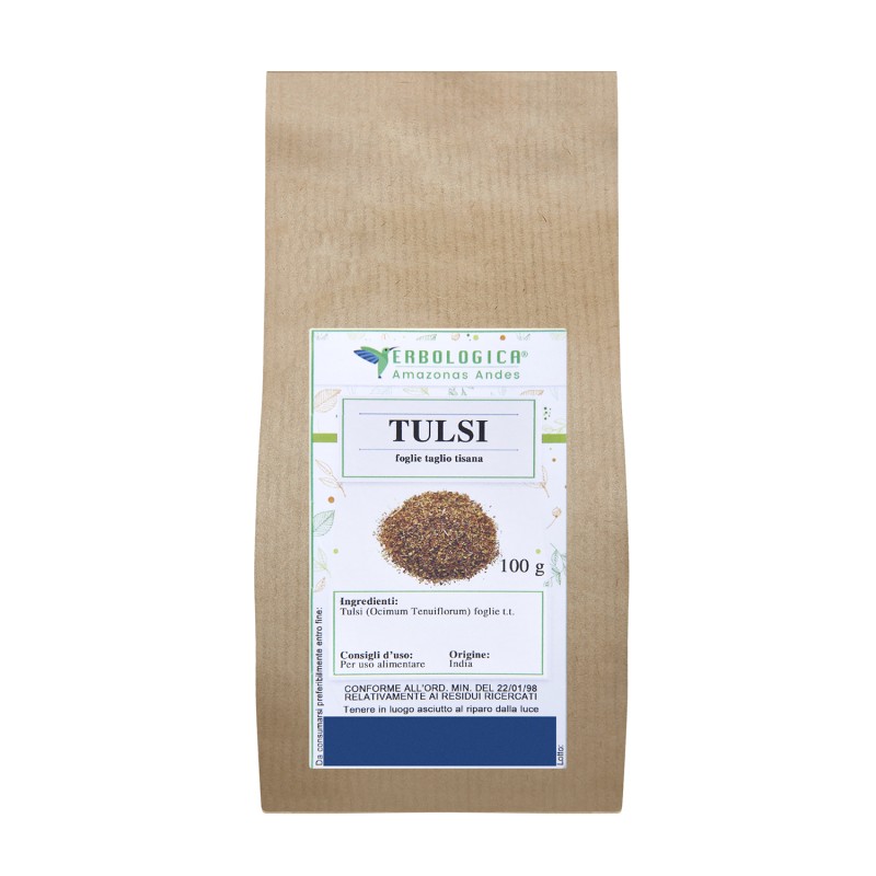 Tulsi foglie basilico santo taglio tisana Tulsi foglie basilico santo taglio tisana