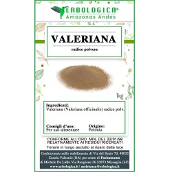 Valeriana radice polvere Valeriana radice polvere