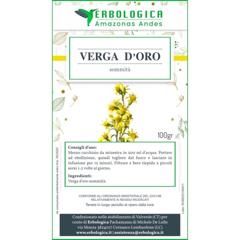 Verga d'oro taglio tisana Verga d'oro taglio tisana