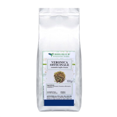 Veronica officinale tisana Veronica officinale tisana