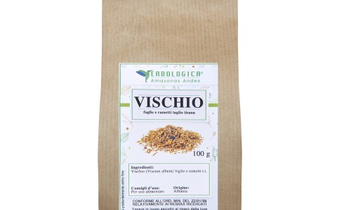 Erbe medicinali per disinfettare le vie urinarie Erbe medicinali per disinfettare le vie urinarie