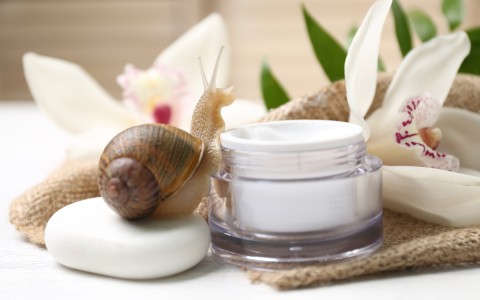 Crema viso bava di lumaca Crema viso bava di lumaca