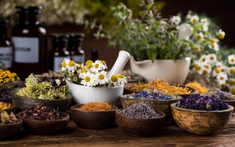Erbe officinali tisane che combattono la pelle grassa Erbe officinali tisane che combattono la pelle grassa