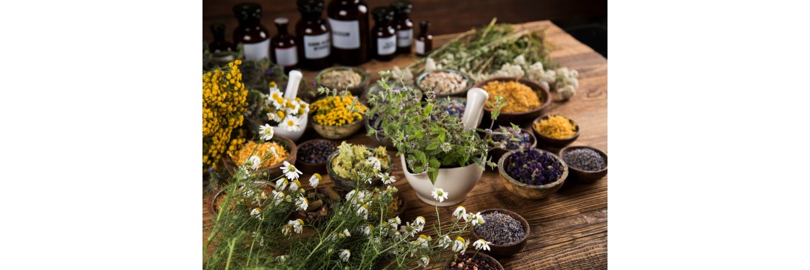 Erbe officinali rare