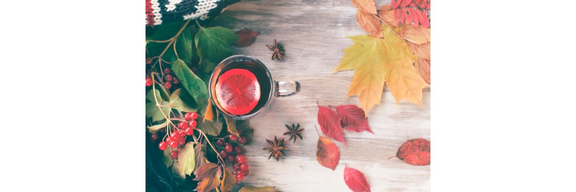 Erbe officinali e tisane per l'autunno