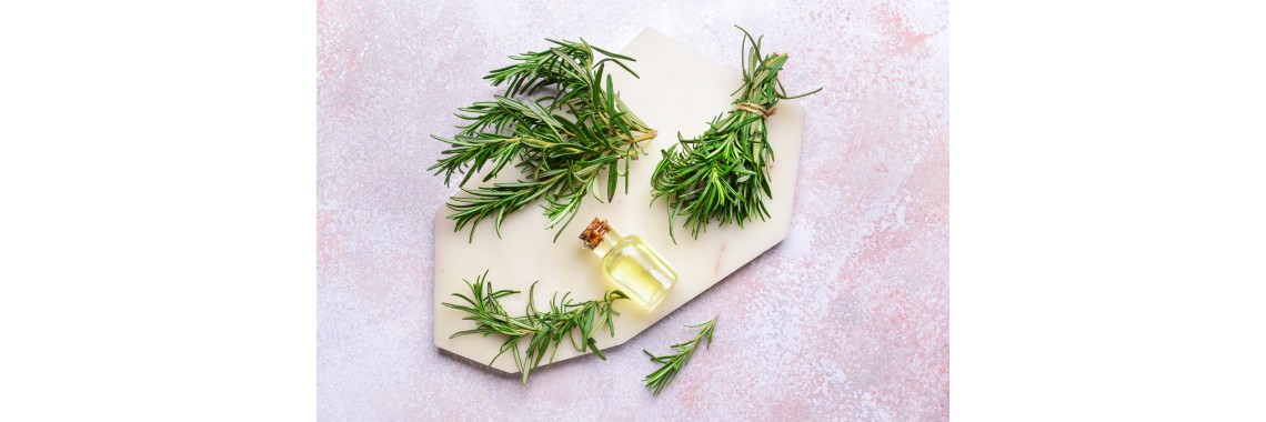 Rosmarino in erboristeria usi e benefici