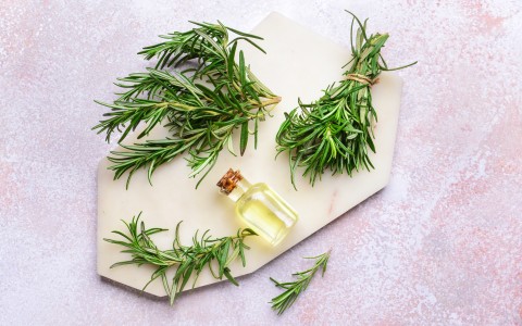 Rosmarino in erboristeria usi e benefici Rosmarino in erboristeria usi e benefici