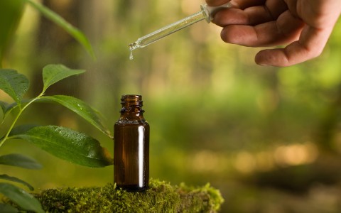 Tea tree olio essenziale Tea tree olio essenziale
