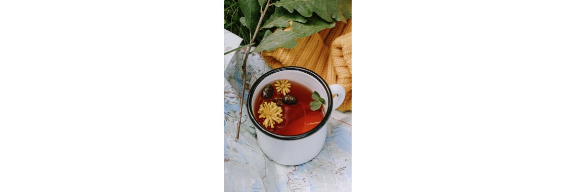 Tisane che aiutano ad abbassare il colesterolo