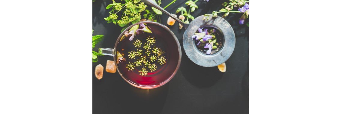 Le tisane depurative per il fegato