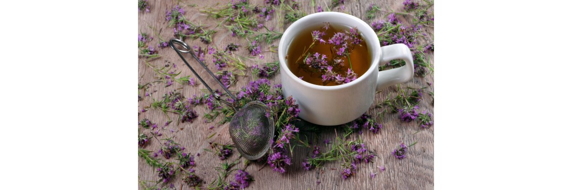 Scopri la verbena: benefici, usi tradizionali e guida all'aromaterapia