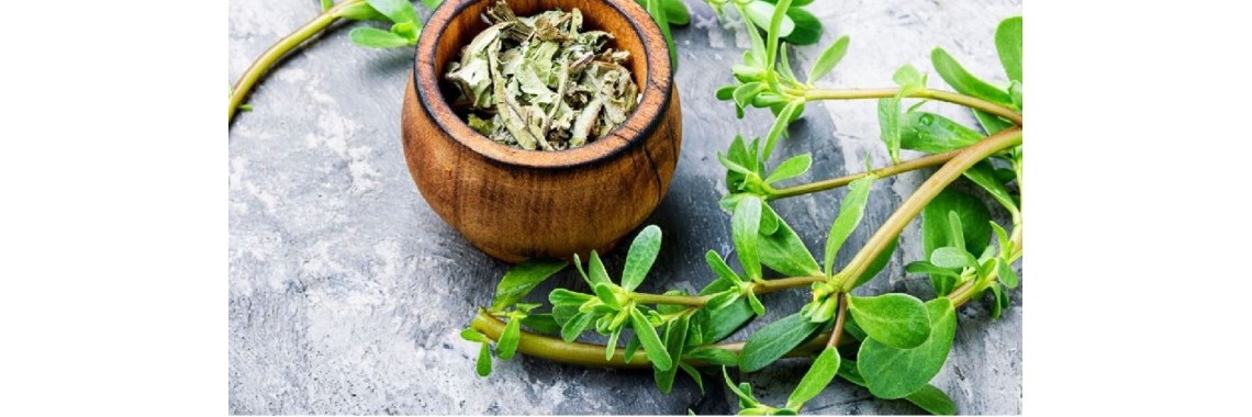Erbe medicinali: La guida definitiva - Cosa c'è da sapere