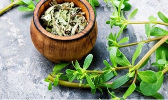Guida alle erbe selvatiche commestibili: identificazione, raccolta, ricette, scopri benefici e consigli Guida alle erbe selvatiche commestibili: identificazione, raccolta, ricette, scopri benefici e consigli
