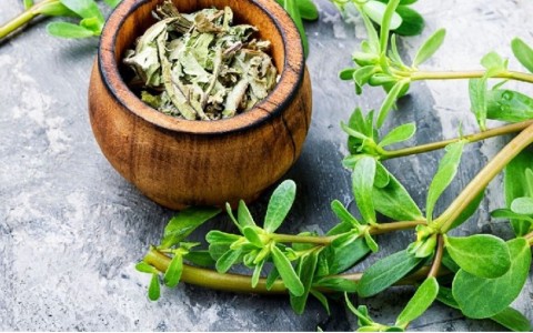 Erbe medicinali: La guida definitiva - Cosa c'è da sapere Erbe medicinali: La guida definitiva - Cosa c'è da sapere