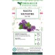 Malva fiori blu Malva fiori blu