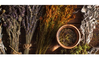 Benefici delle erbe officinali nel mese di Ottobre Benefici delle erbe officinali nel mese di Ottobre