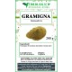 Gramigna rizoma in polvere Gramigna rizoma in polvere