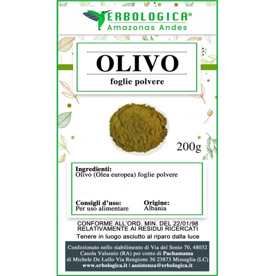 Olivo foglie in polvere Olivo foglie in polvere