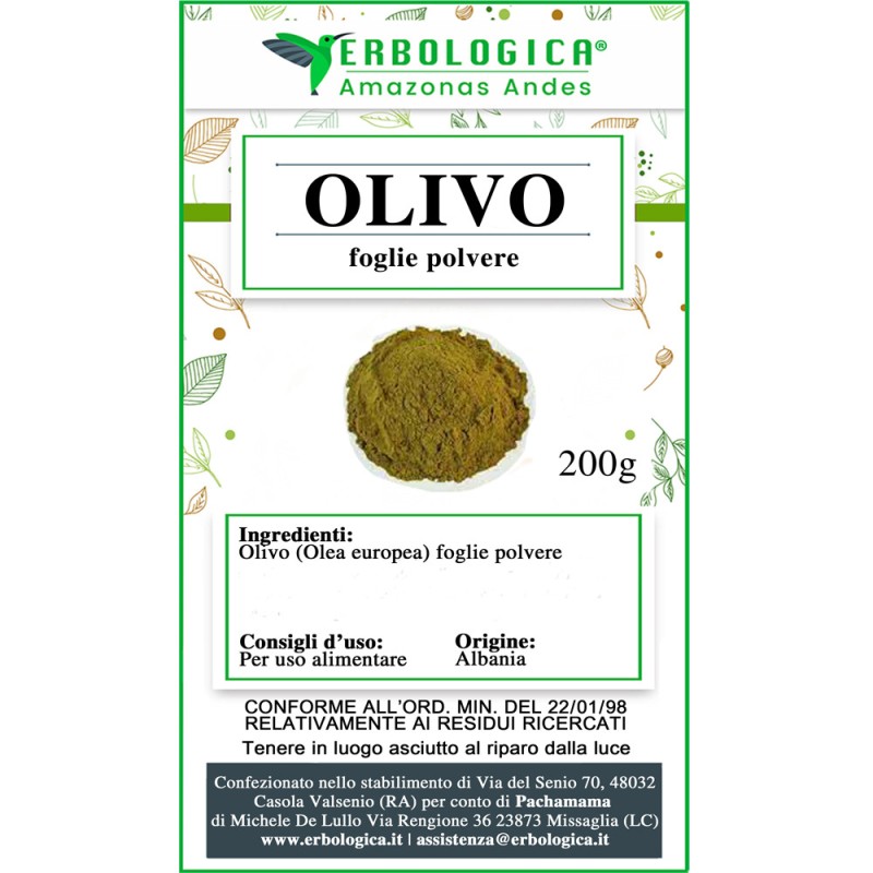 Olivo foglie in polvere