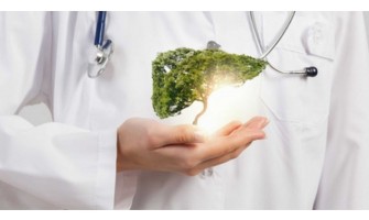 Rimedi naturali per depurare il fegato Rimedi naturali per depurare il fegato