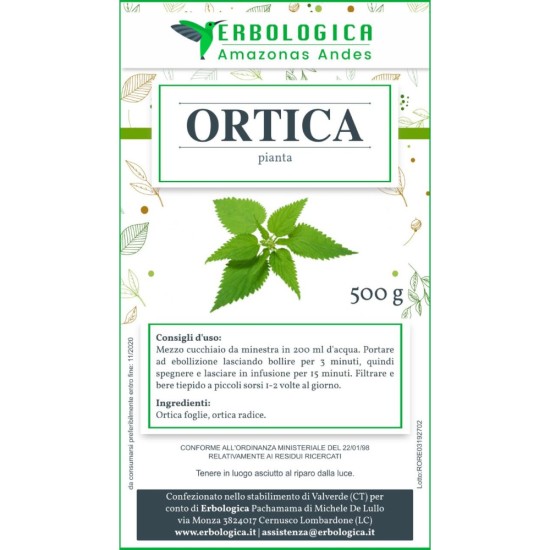 Ortica pianta tisana Ortica pianta tisana