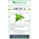 Ortica pianta tisana Ortica pianta tisana