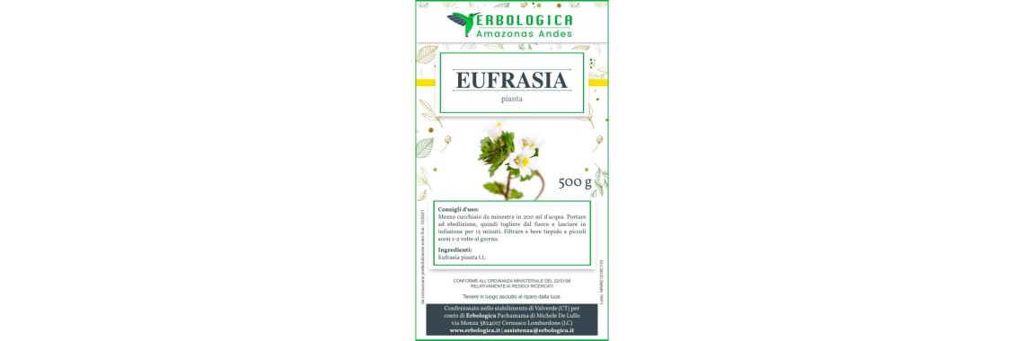 Eufrasia per la cura dei tuoi occhi