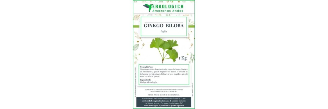 Piante officinali che migliorano la memoria