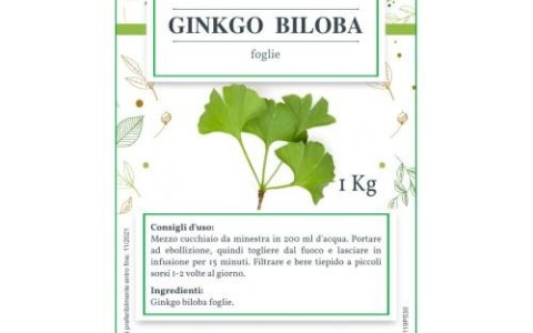 Piante officinali che migliorano la memoria Piante officinali che migliorano la memoria