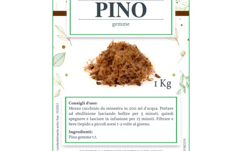 Erba del mese: gemme di pino benefici Erba del mese: gemme di pino benefici